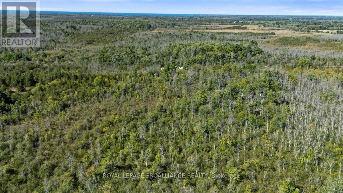 467 LIGHTHALL ROAD Image 9