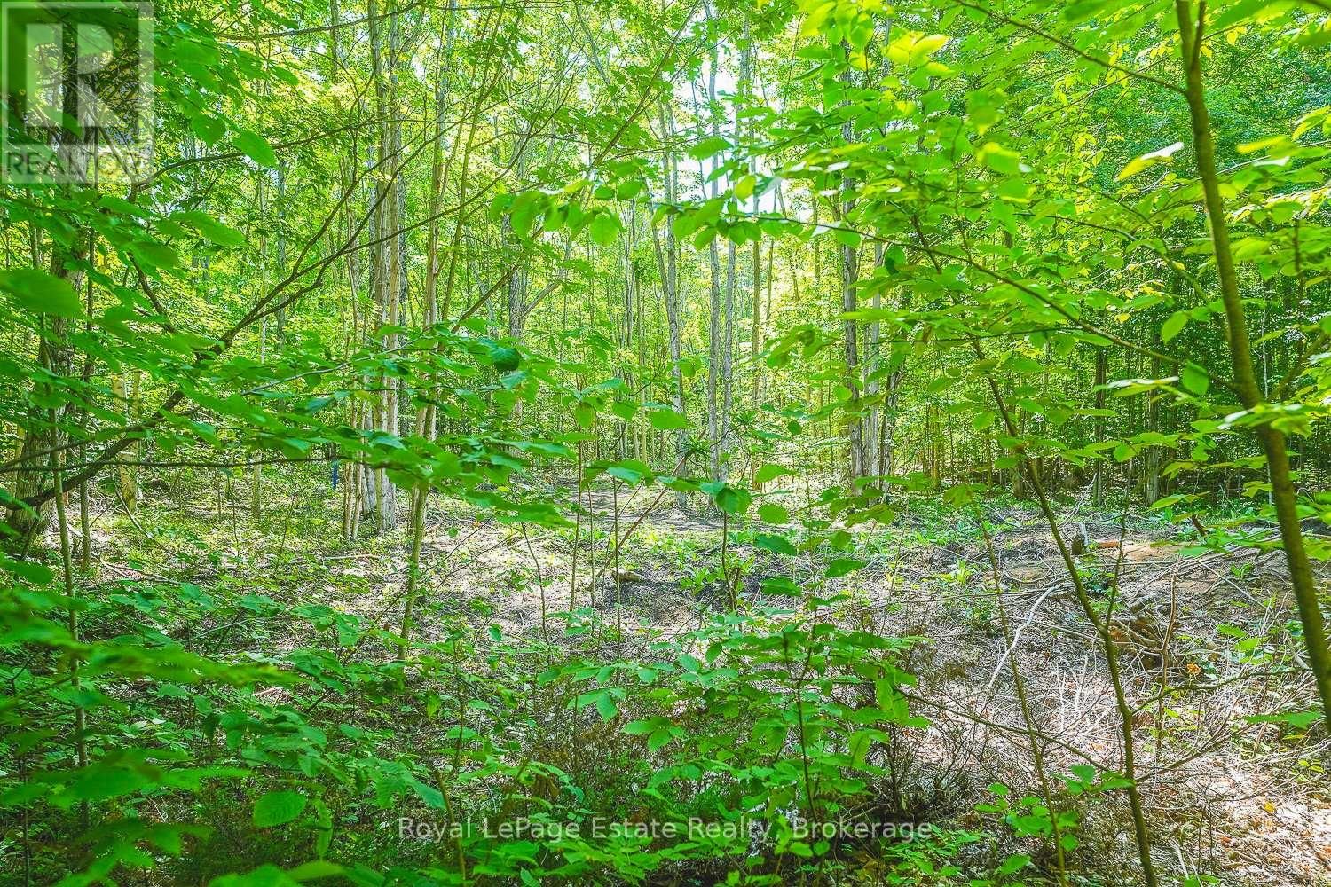 Lot 2 SIXTH STREET Image 6