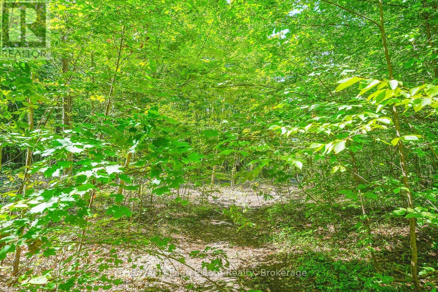 Lot 2 SIXTH STREET Image 7