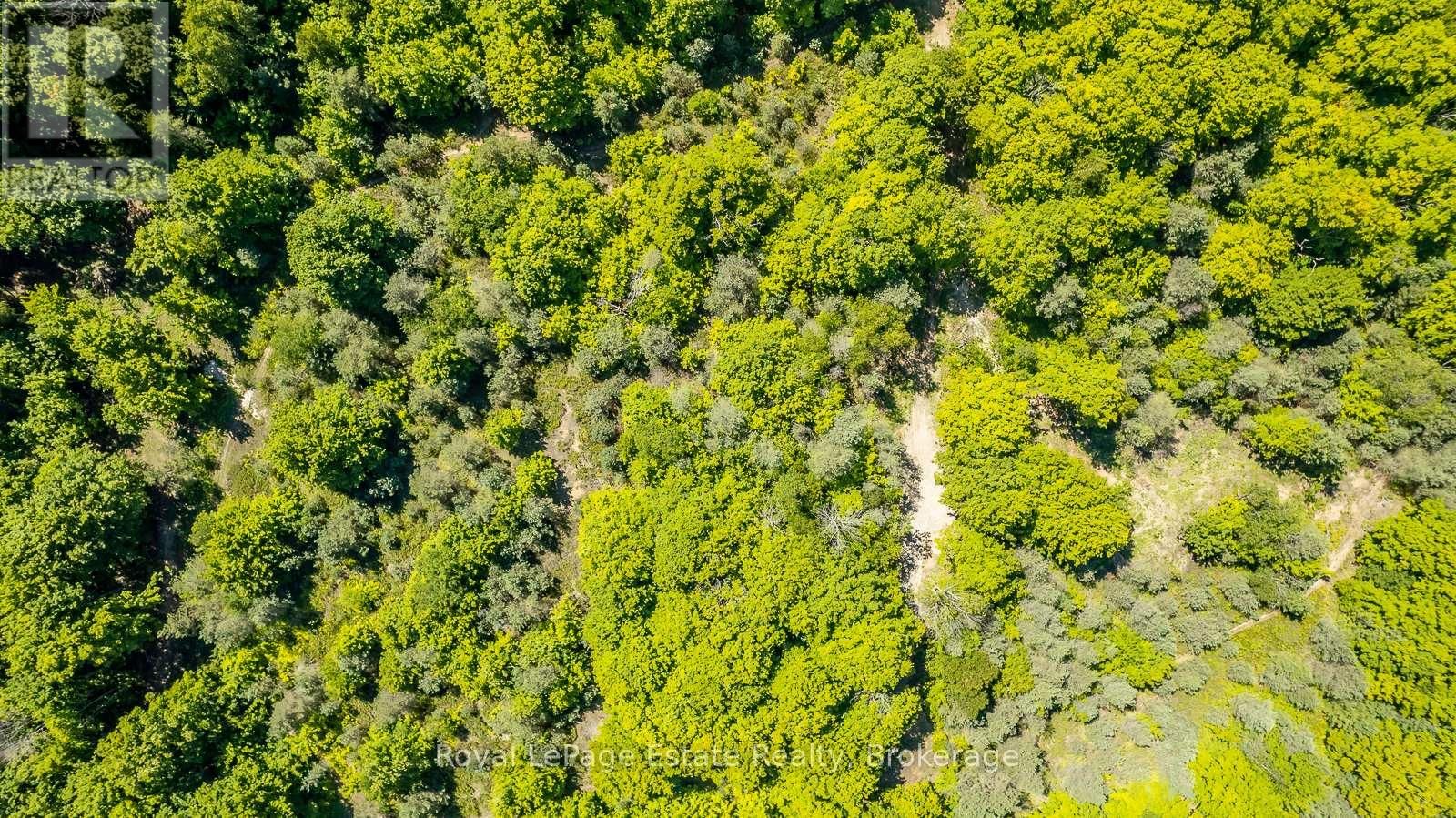 Lot 4 SIXTH STREET Image 8