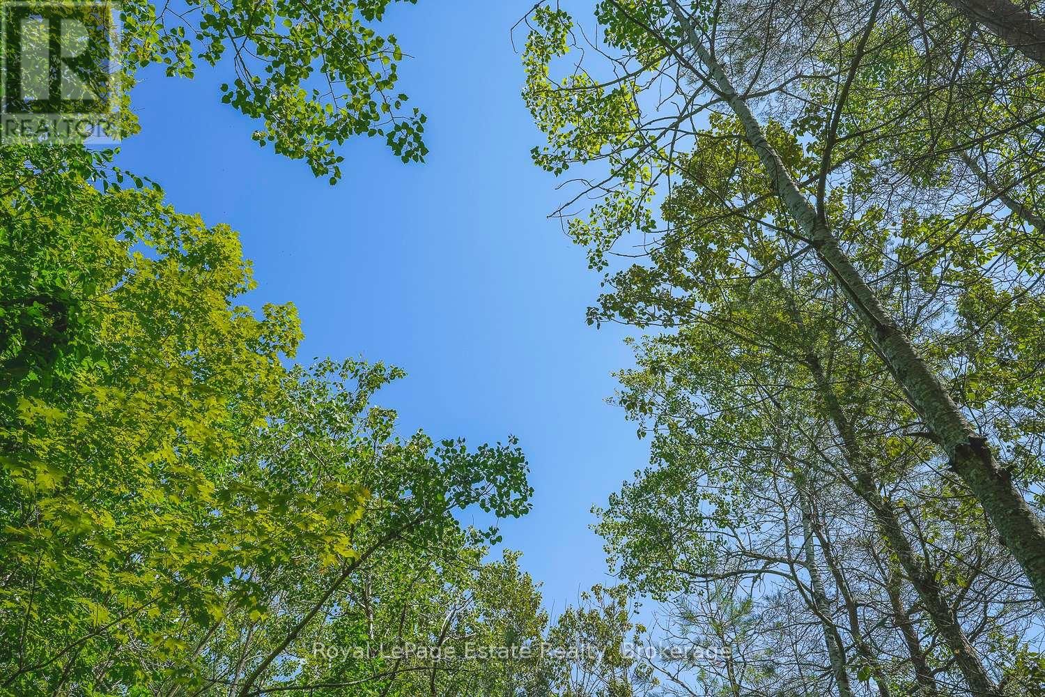 Lot 5 SIXTH STREET Image 6