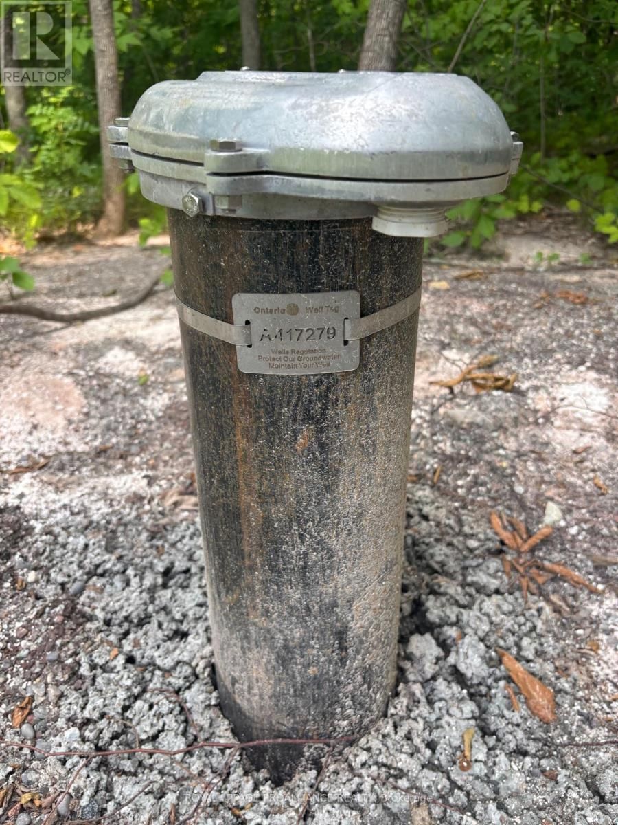 Severed B - 554 PIGDEN ROAD Image 5