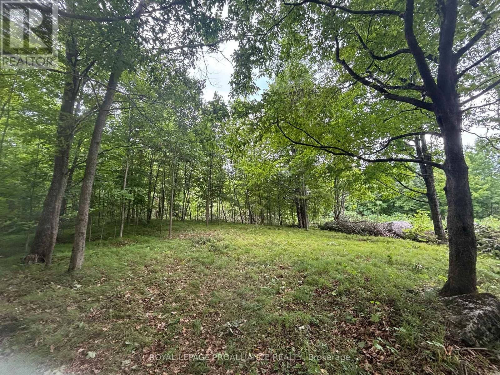 Severed B - 554 PIGDEN ROAD Image 6