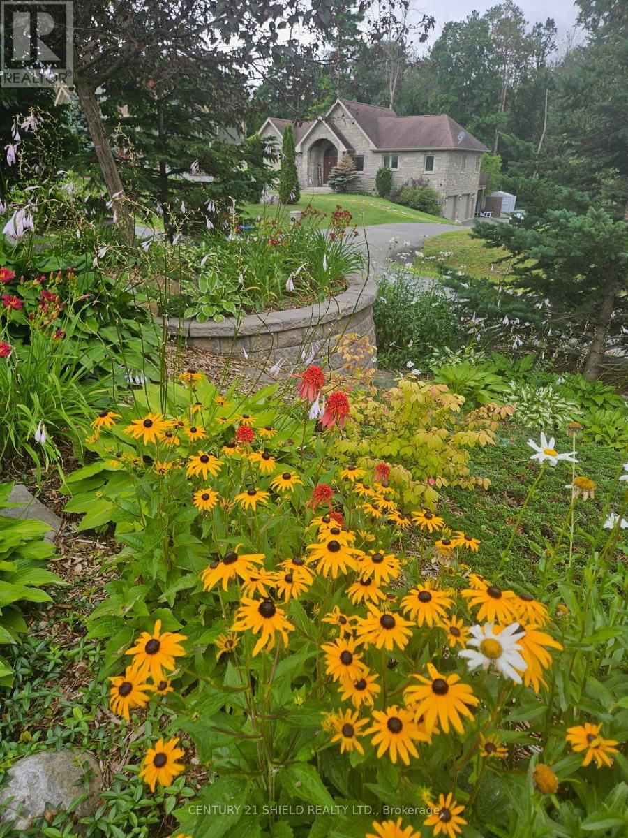 1 FOREST HILL ROAD Image 45