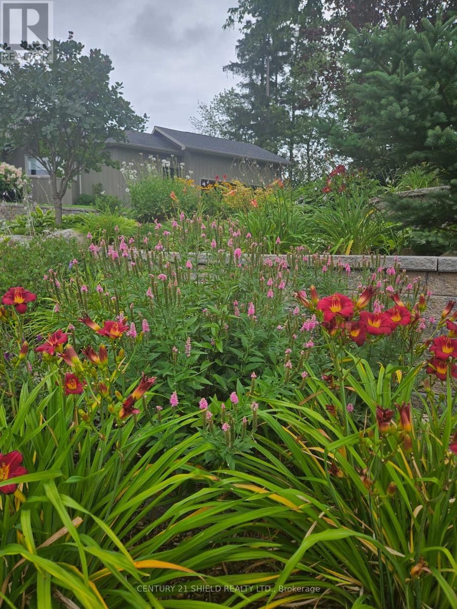 1 FOREST HILL ROAD Image 46