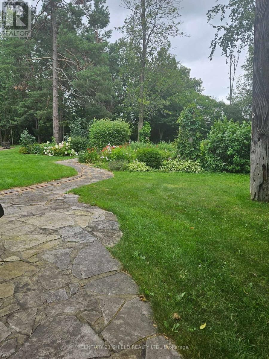 1 FOREST HILL ROAD Image 49