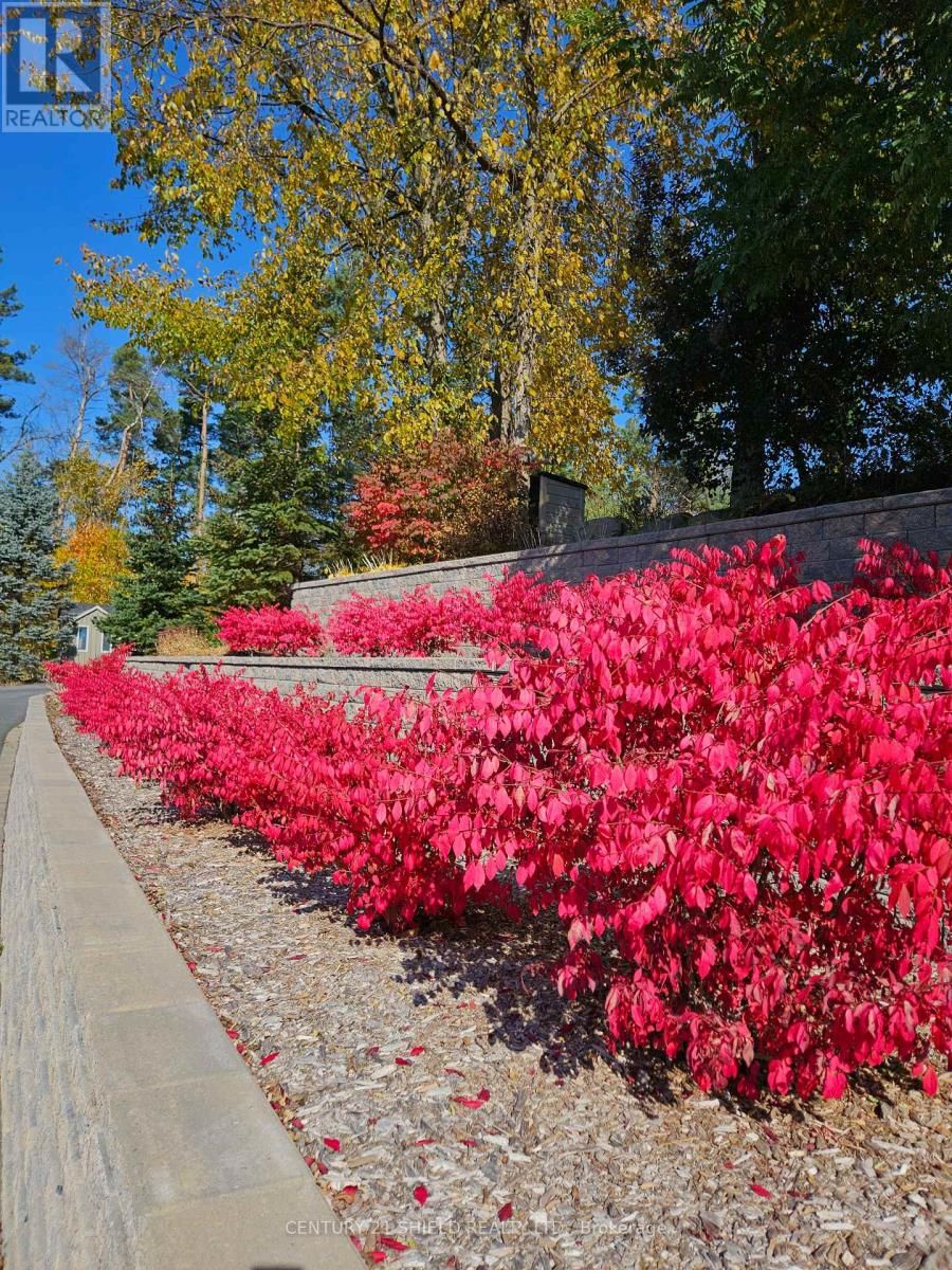 1 FOREST HILL ROAD Image 50