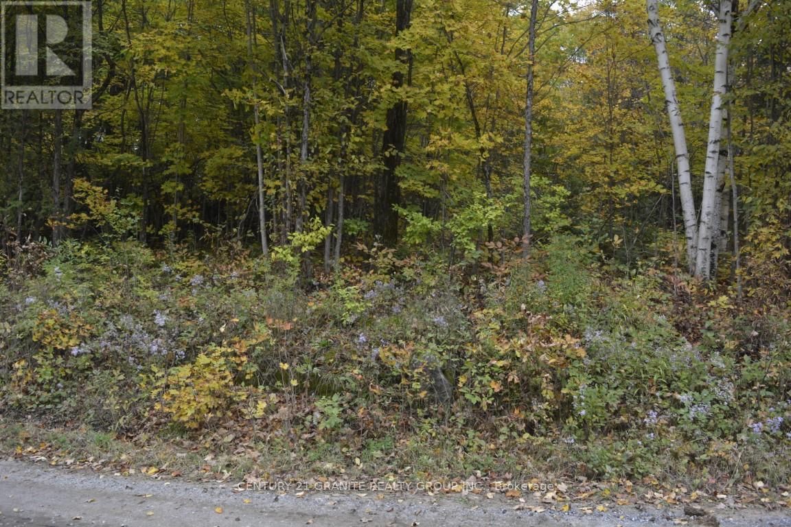 PtLt 61 OLD HASTINGS ROAD Image 5