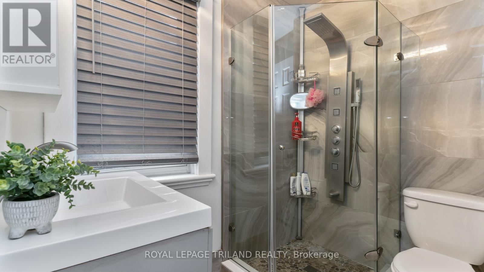 41 GUNN STREET Image 13