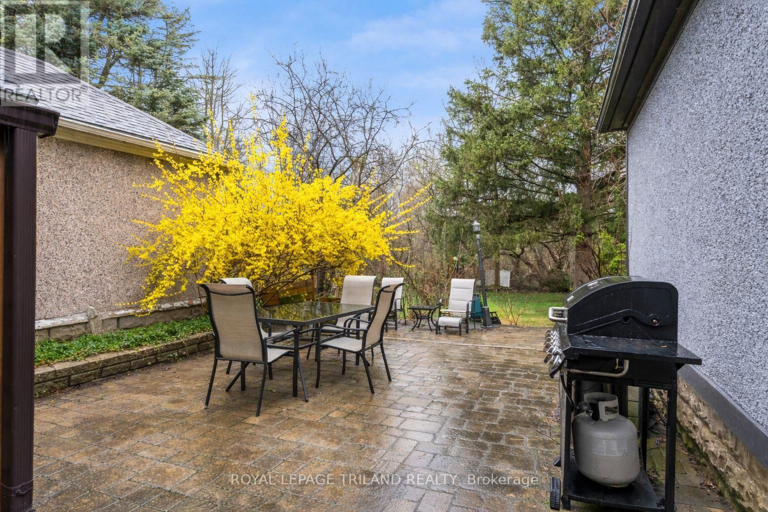 41 GUNN STREET Image 24