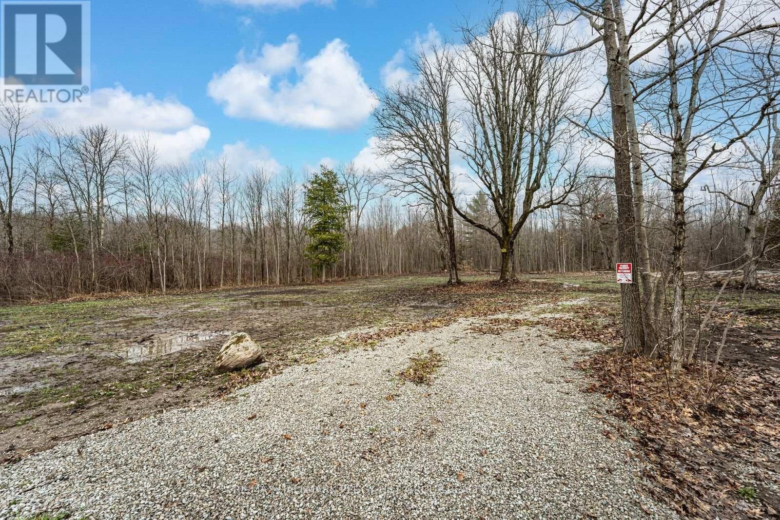 88 MUSKY BAY ROAD Image 3