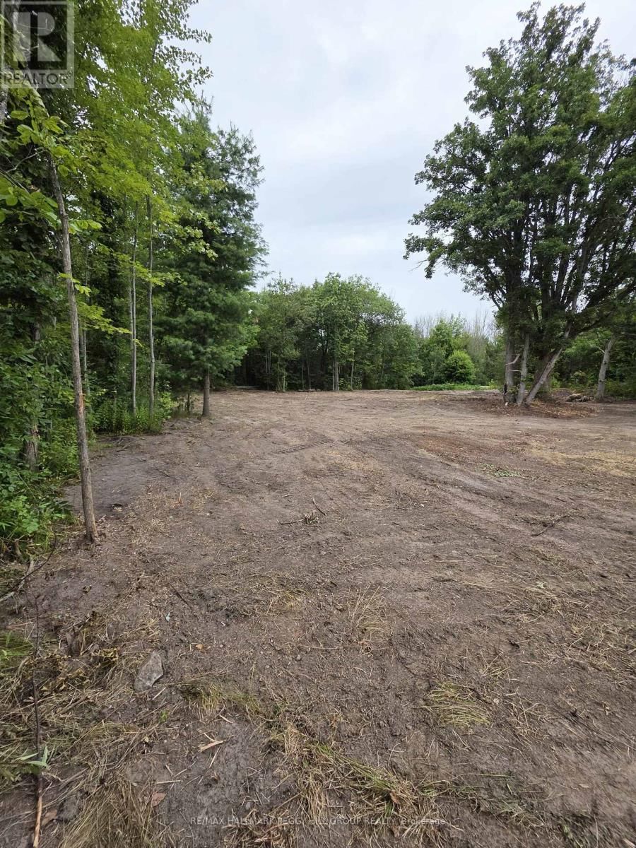 88 MUSKY BAY ROAD Image 4