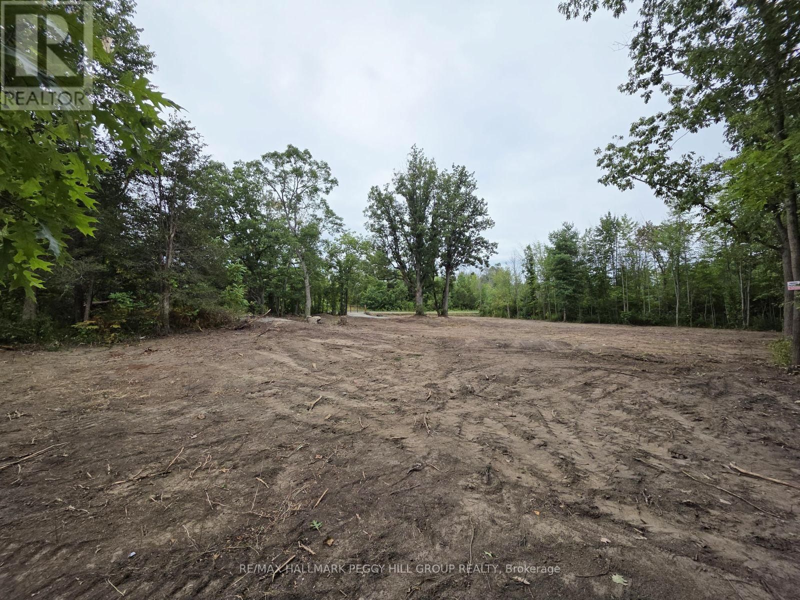 88 MUSKY BAY ROAD Image 6