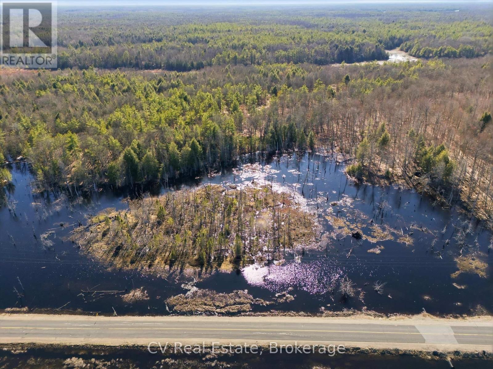 1670 MUSKOKA RD 38 Image 16