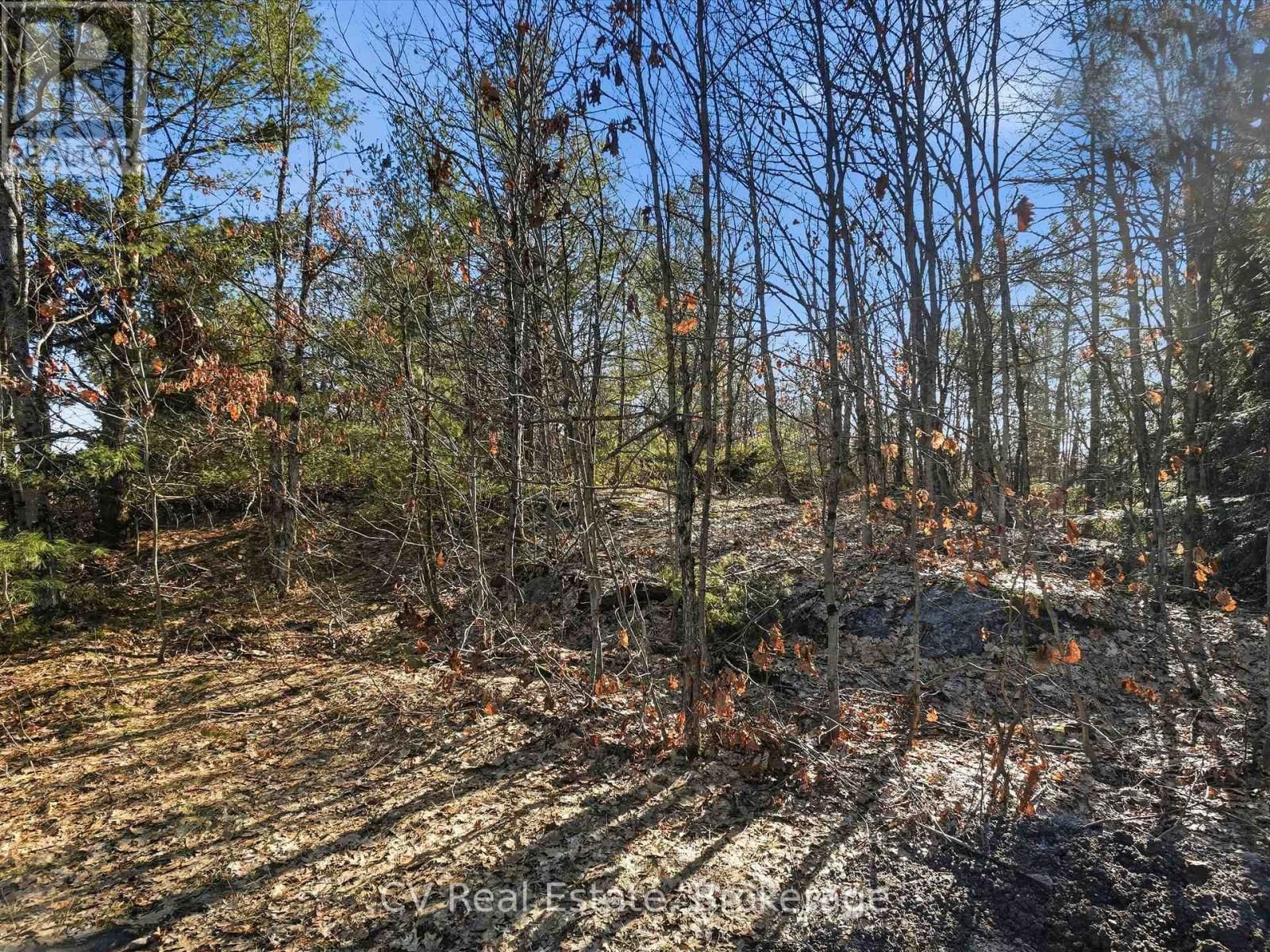 1670 MUSKOKA RD 38 Image 24