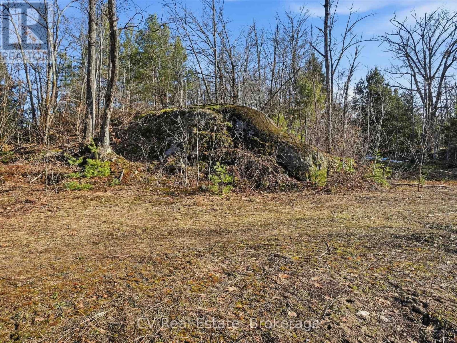 1670 MUSKOKA RD 38 Image 29