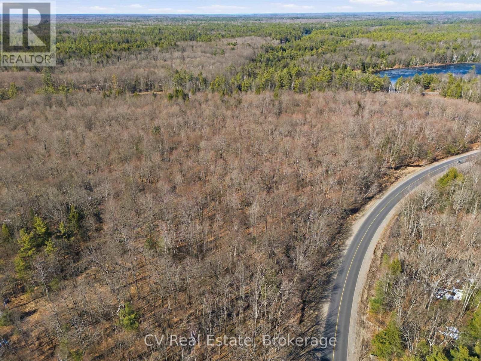 1670 MUSKOKA RD 38 Image 3