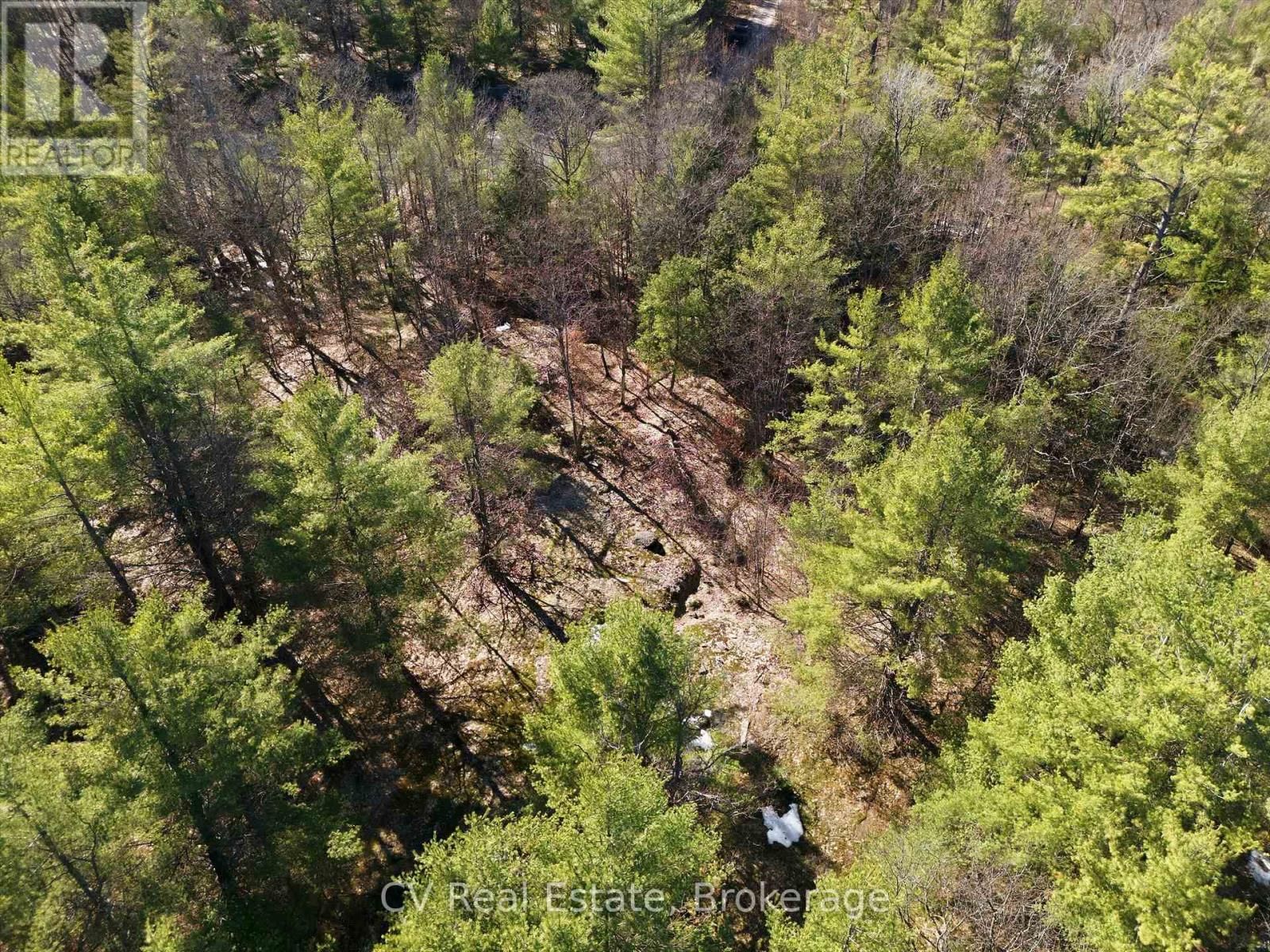 1671 MUSKOKA RD 38 Image 8