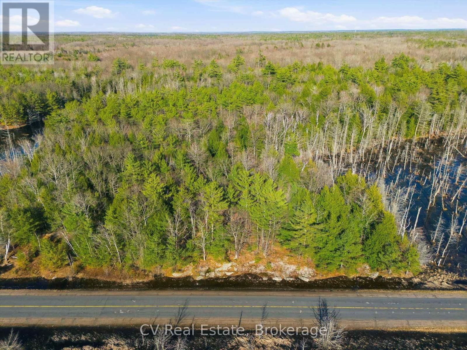 1673 MUSKOKA RD 38 Image 10