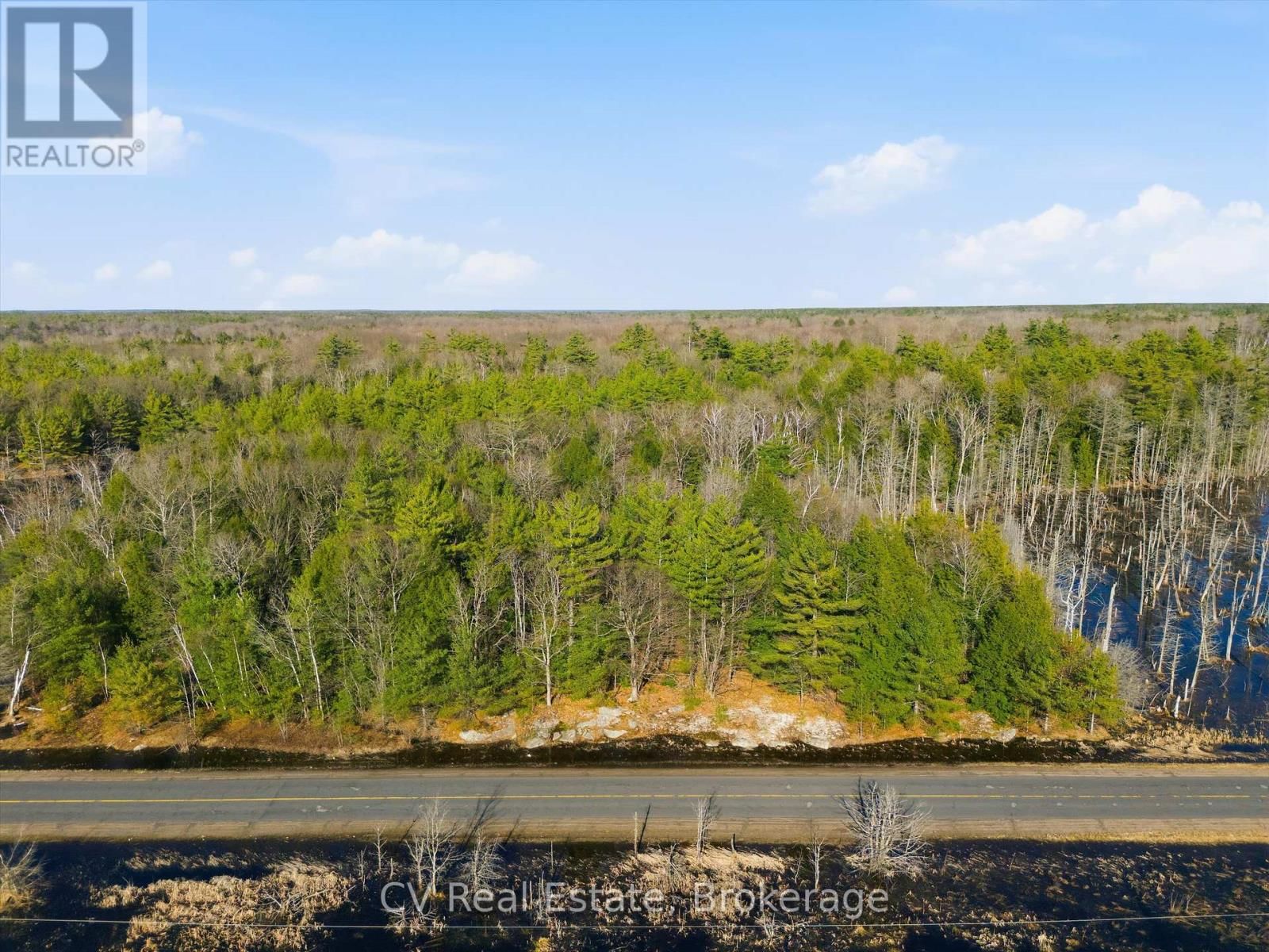 1673 MUSKOKA RD 38 Image 2