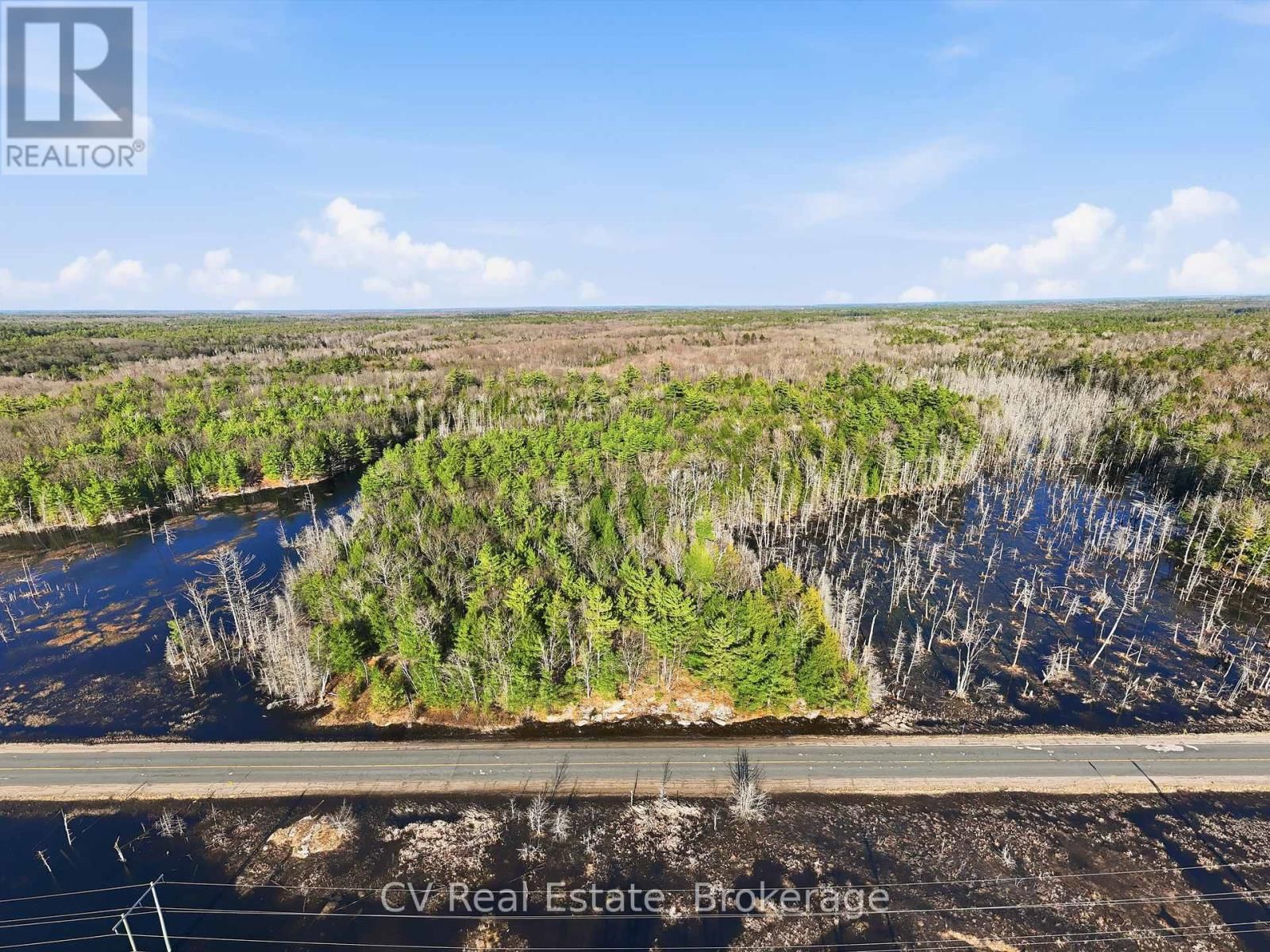 1673 MUSKOKA RD 38 Image 3