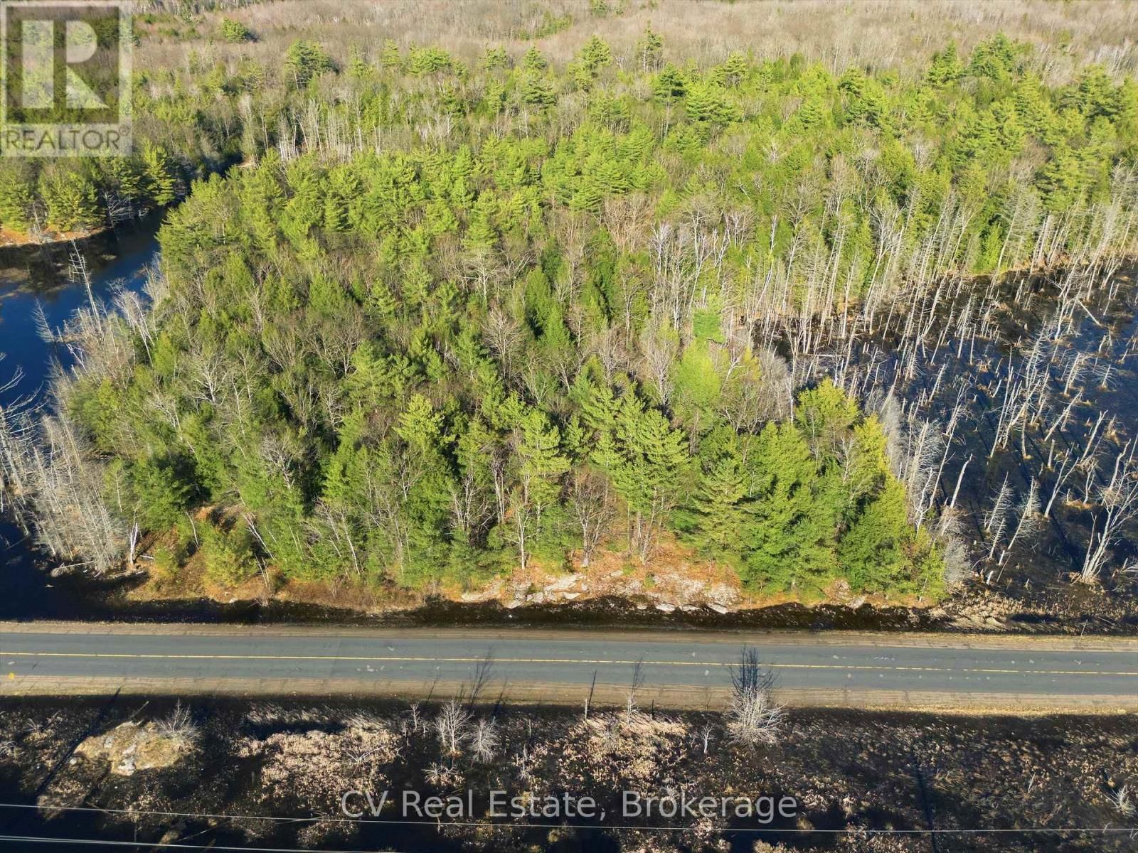 1673 MUSKOKA RD 38 Image 4