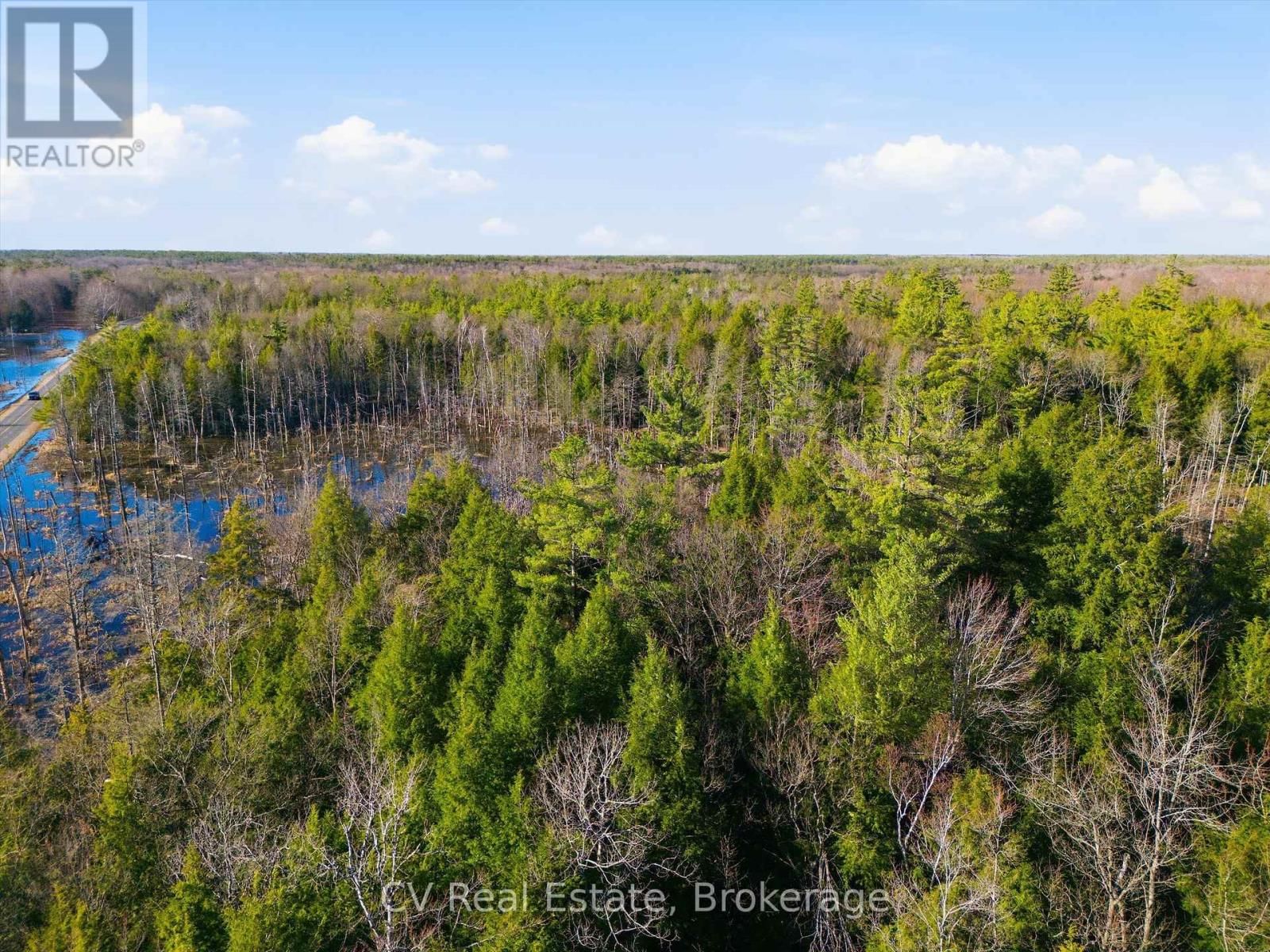 1673 MUSKOKA RD 38 Image 5