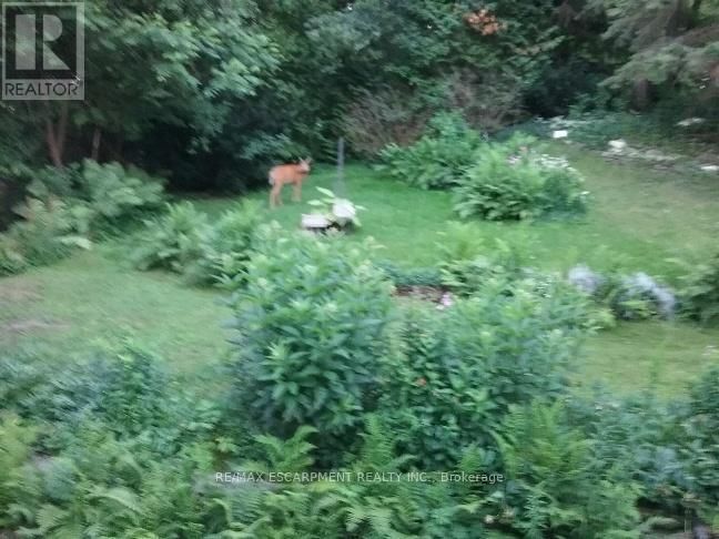 96 ONTARIO STREET Image 33