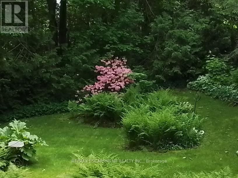 96 ONTARIO STREET Image 39