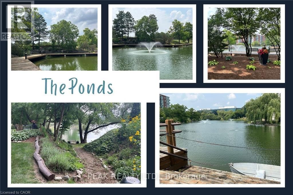 202 - 55 BLUE SPRINGS DRIVE Image 18