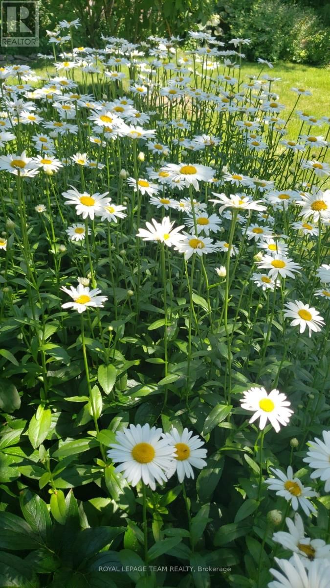 128 WELBORNE AVENUE Image 40