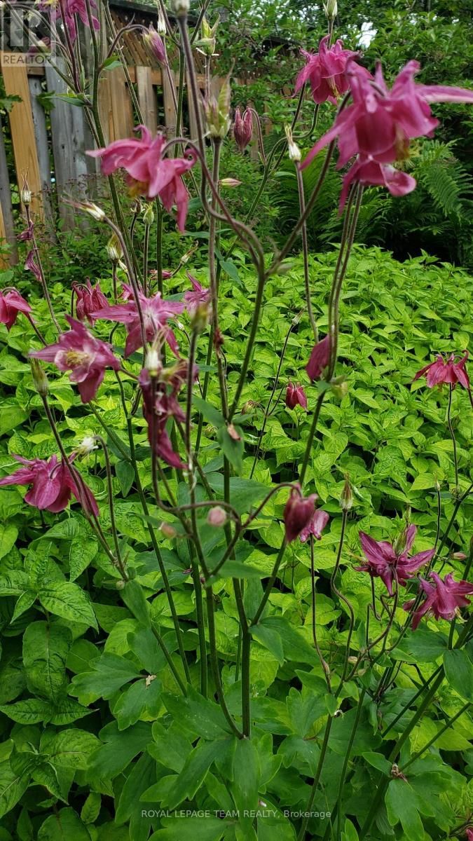 128 WELBORNE AVENUE Image 41