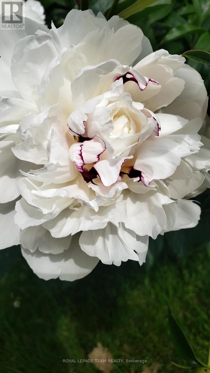 128 WELBORNE AVENUE Image 43