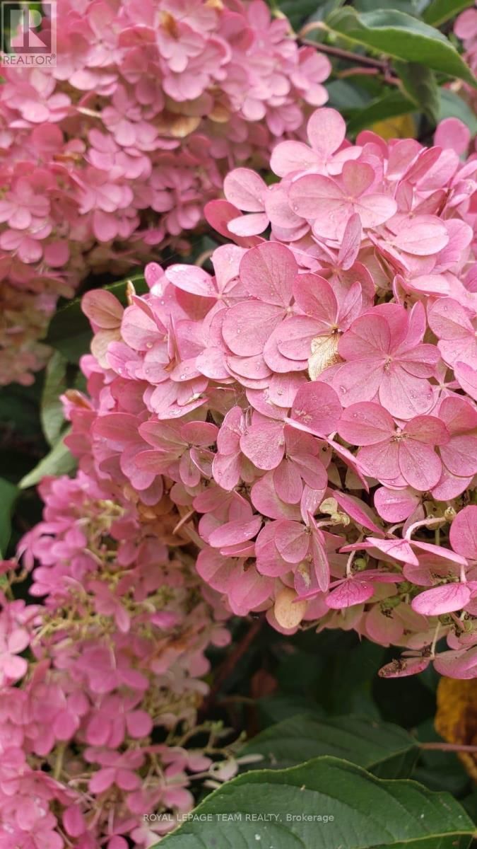 128 WELBORNE AVENUE Image 44