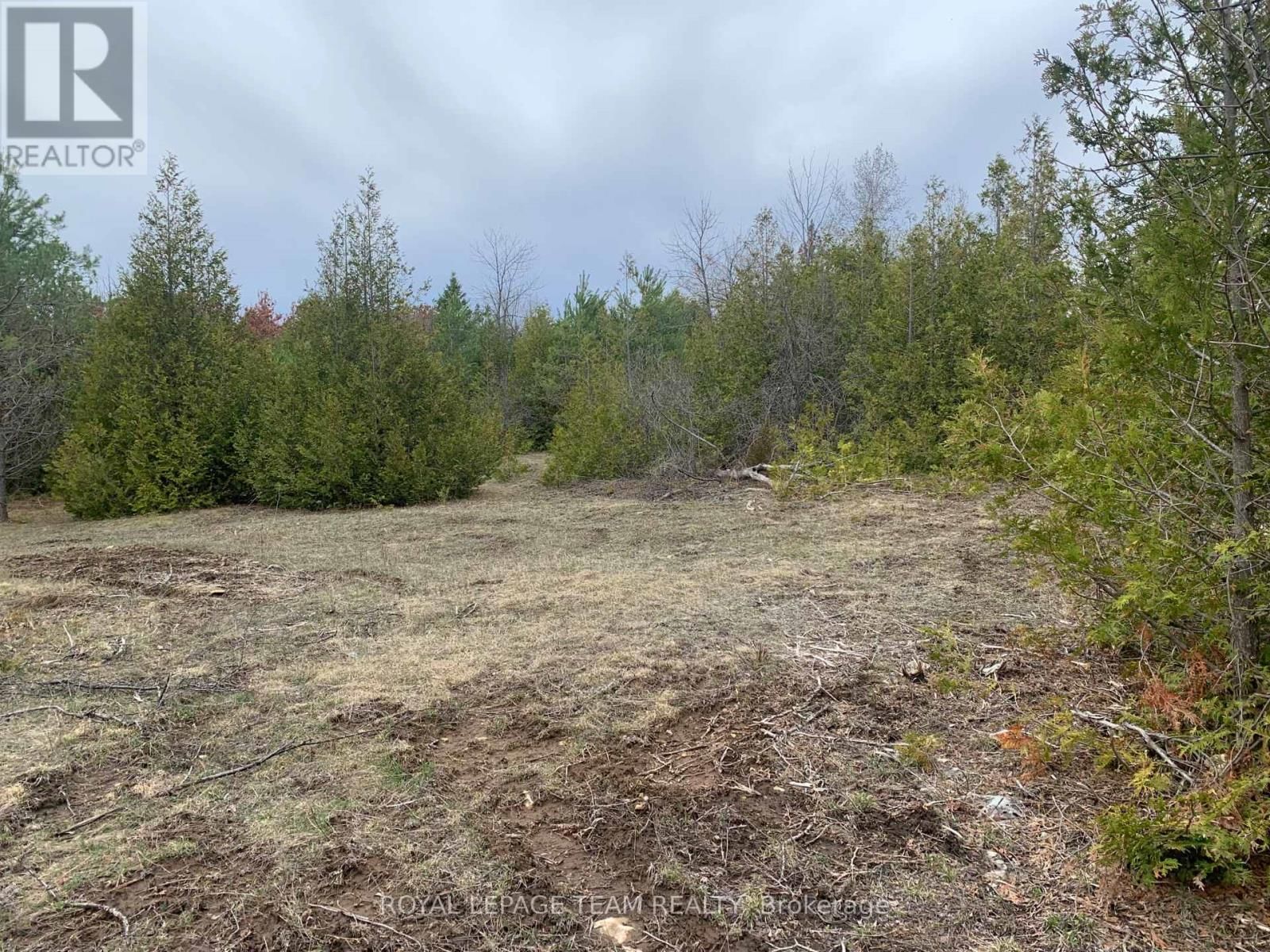 1204 PIONEER ROAD Image 5