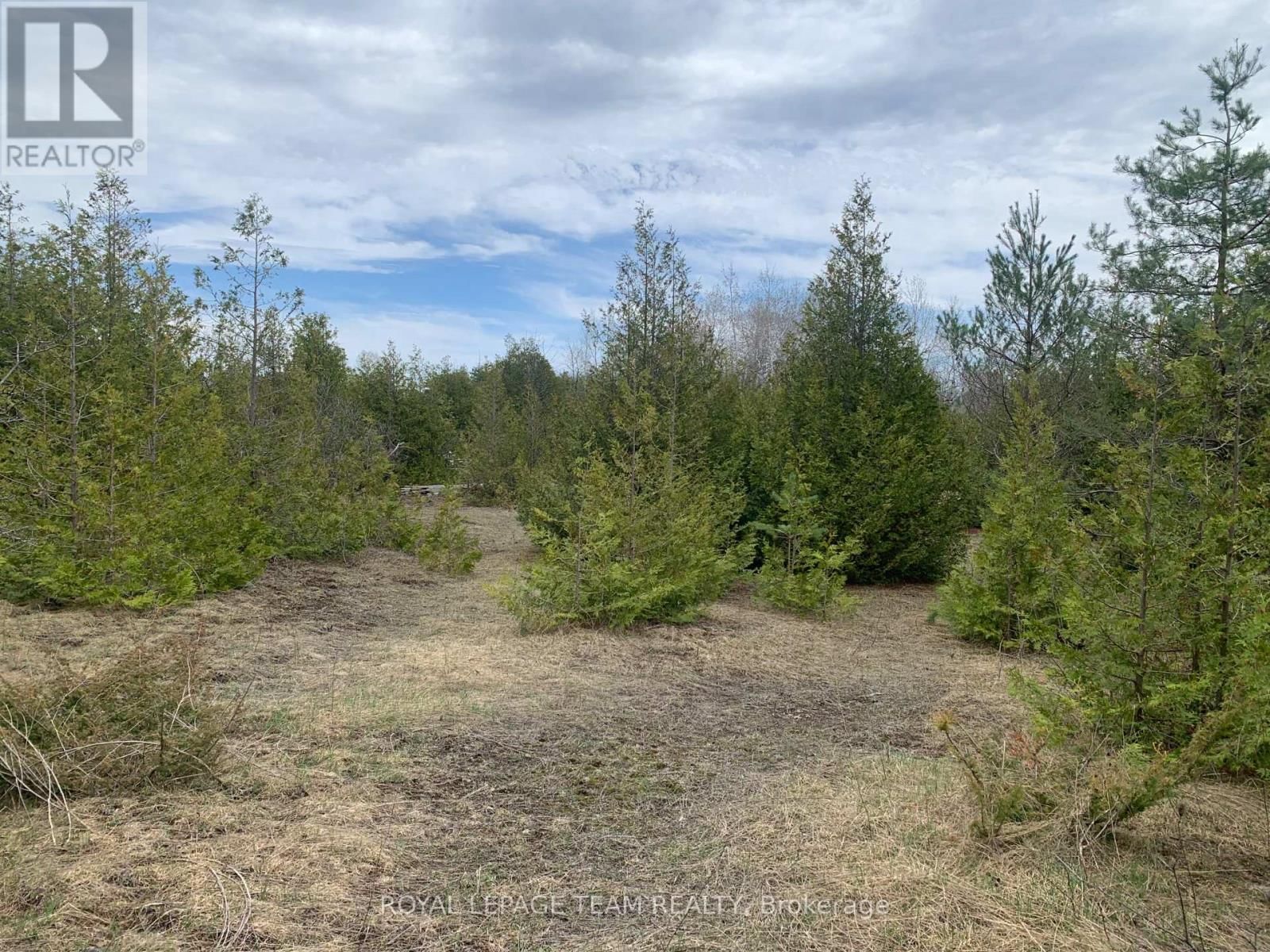 1204 PIONEER ROAD Image 6