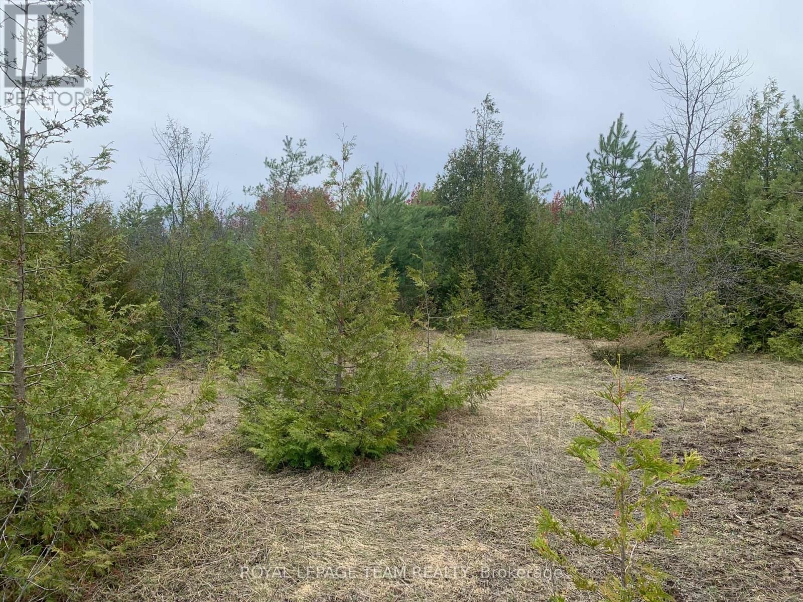 1204 PIONEER ROAD Image 7