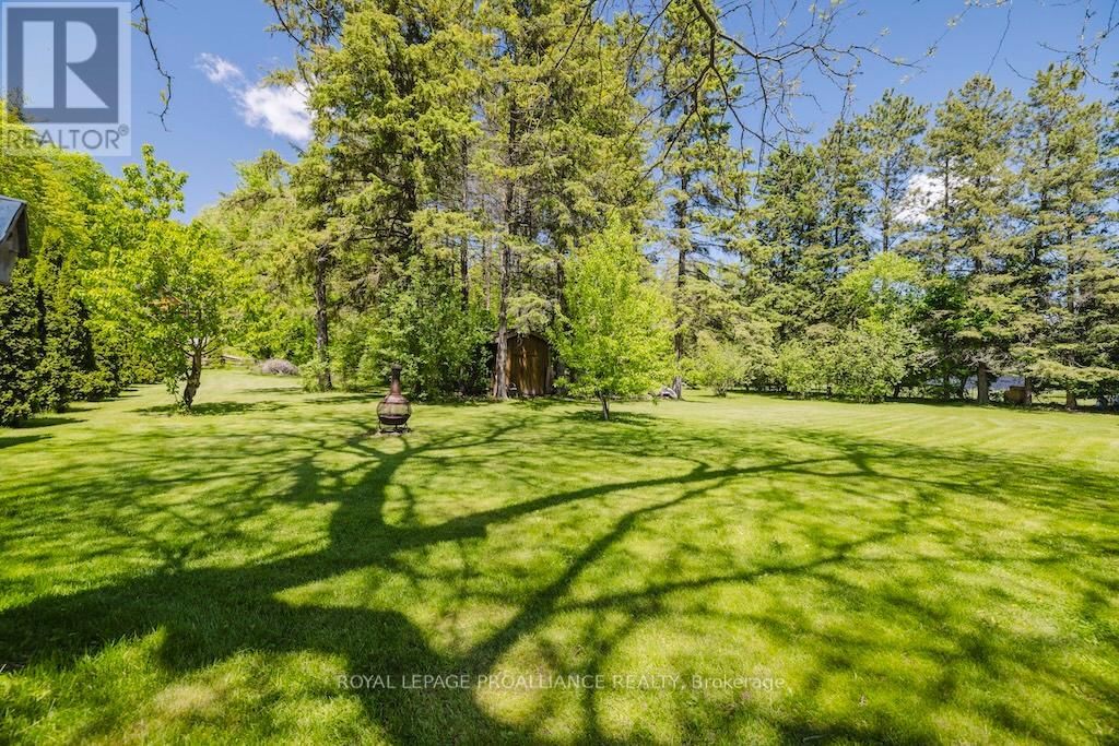 556 ROSEBUSH ROAD Image 39