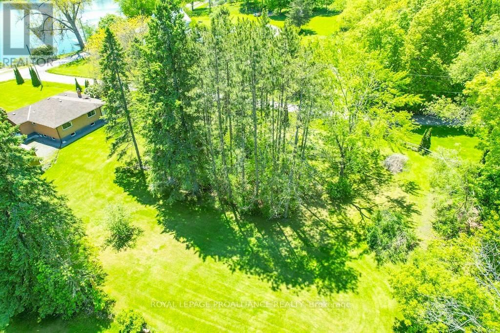 556 ROSEBUSH ROAD Image 48