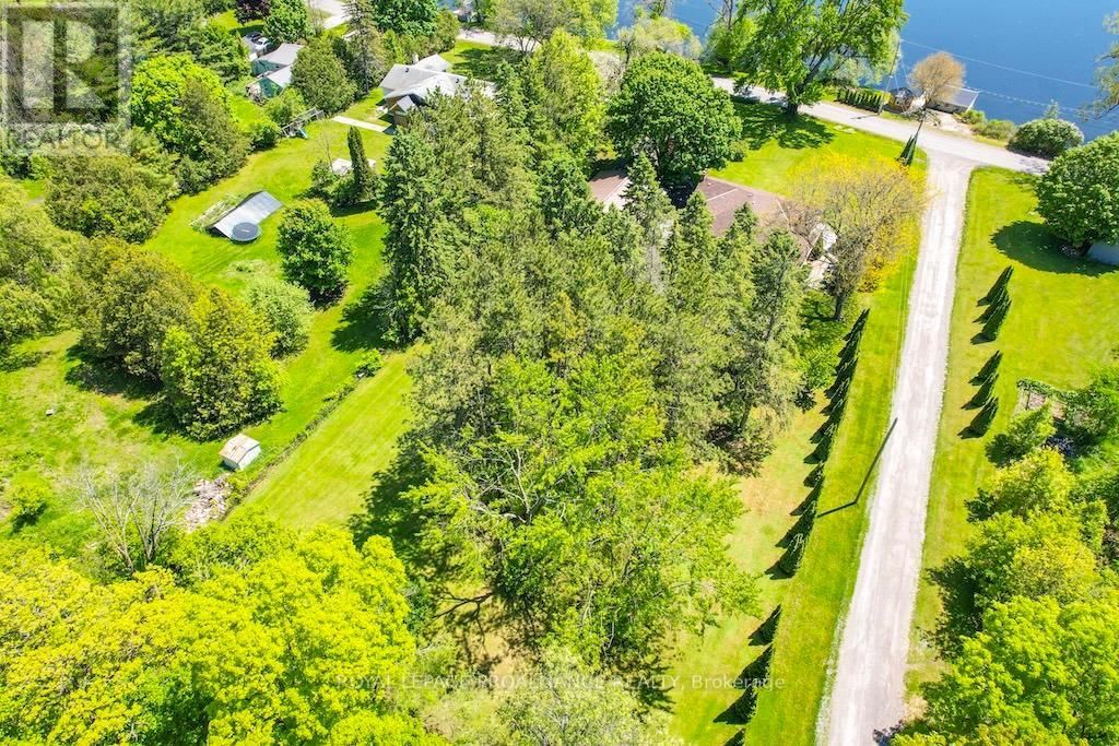 556 ROSEBUSH ROAD Image 49