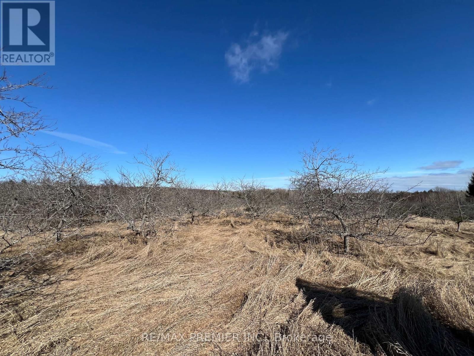 273 PETERS ROAD Image 26