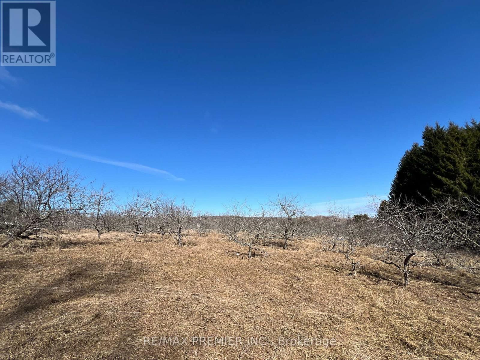 273 PETERS ROAD Image 27