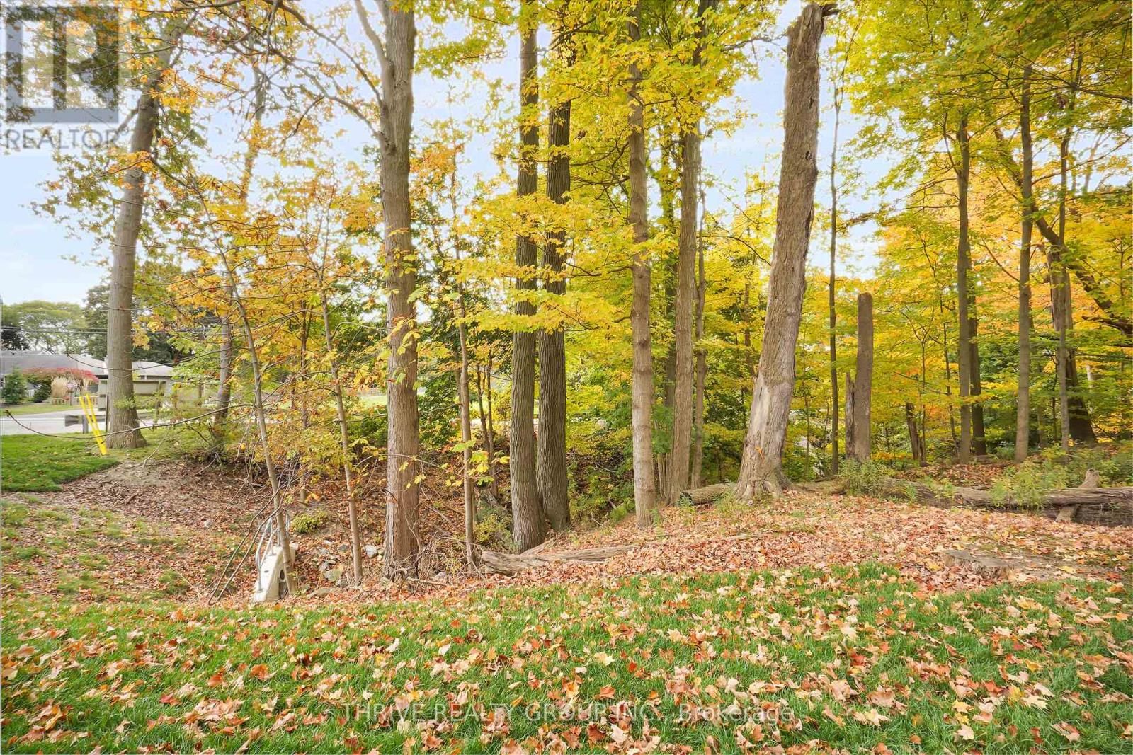 11 - 279 HILL STREET Image 42