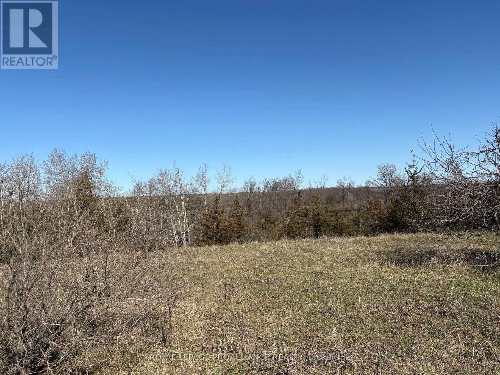 1880 13TH LINE EAST Image 3