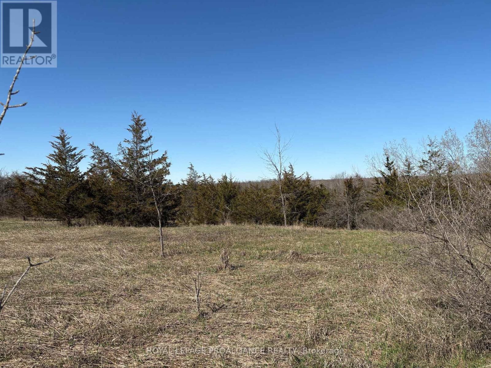 1880 13TH LINE EAST Image 4