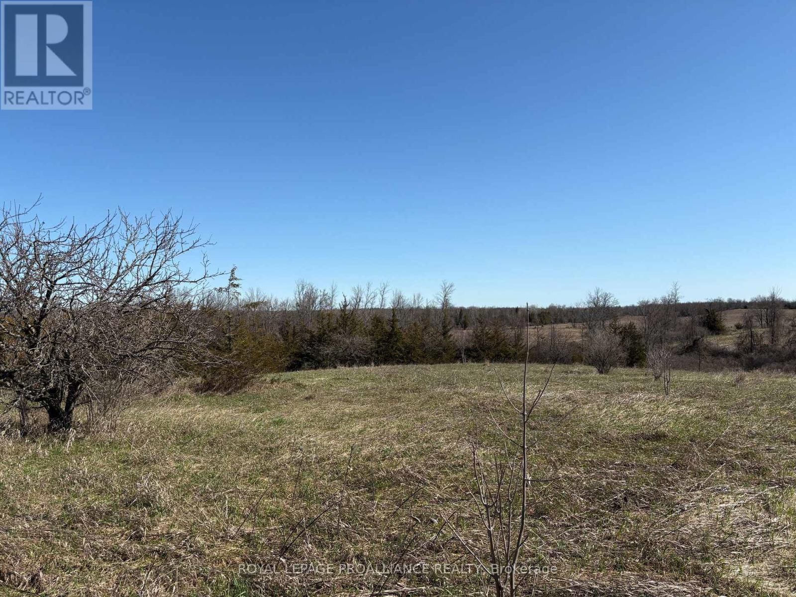 1880 13TH LINE EAST Image 5