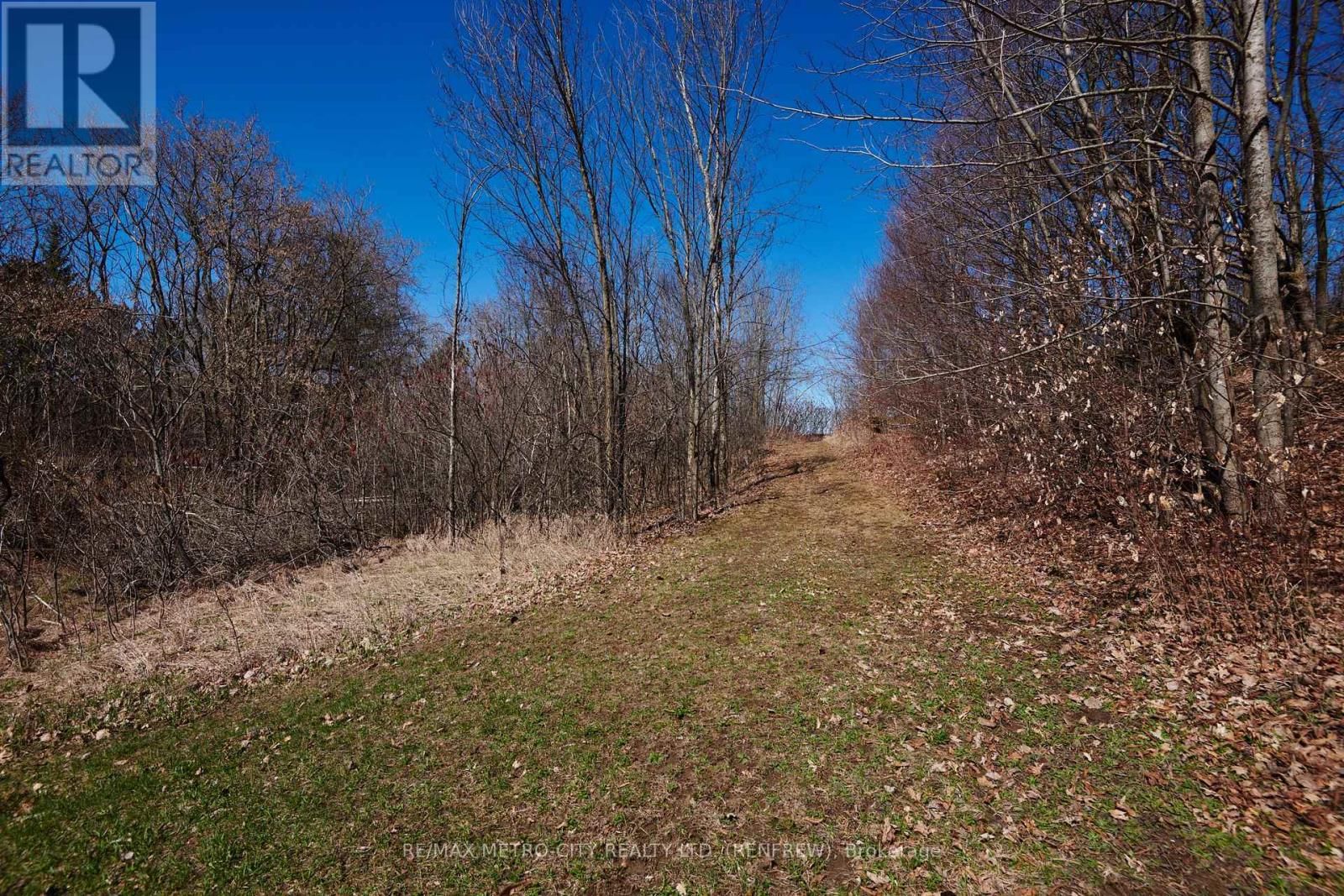 782 BRUCE STREET Image 36