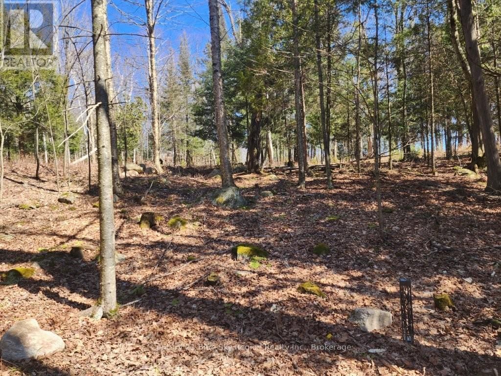 52 OUELLETTE ROAD Image 39