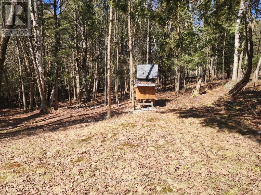 52 OUELLETTE ROAD Image 40