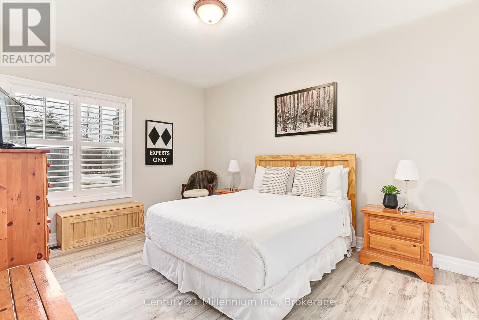 120 - 184 SNOWBRIDGE WAY Image 19